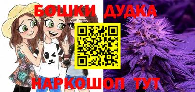PSILOCYBIN Абакан