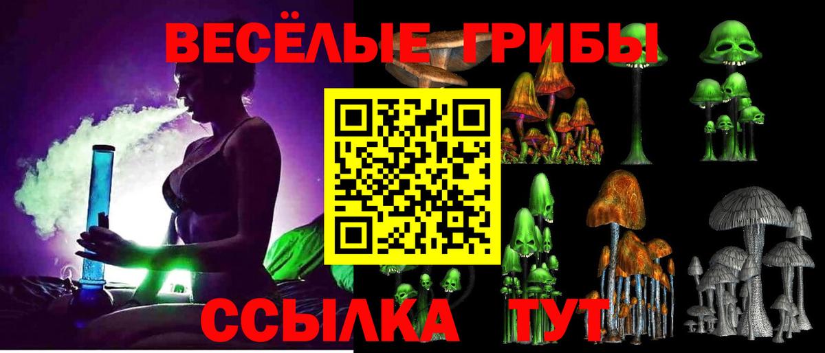 Псилоцибиновые грибы мухоморы  Вход с VPN  Ачхой-Мартан  Псилоцибиновые грибы Psilocybine cubensis 