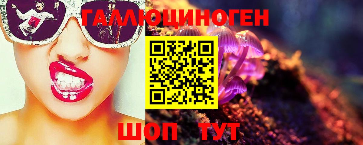 Псилоцибиновые грибы Psilocybe Ачхой-Мартан