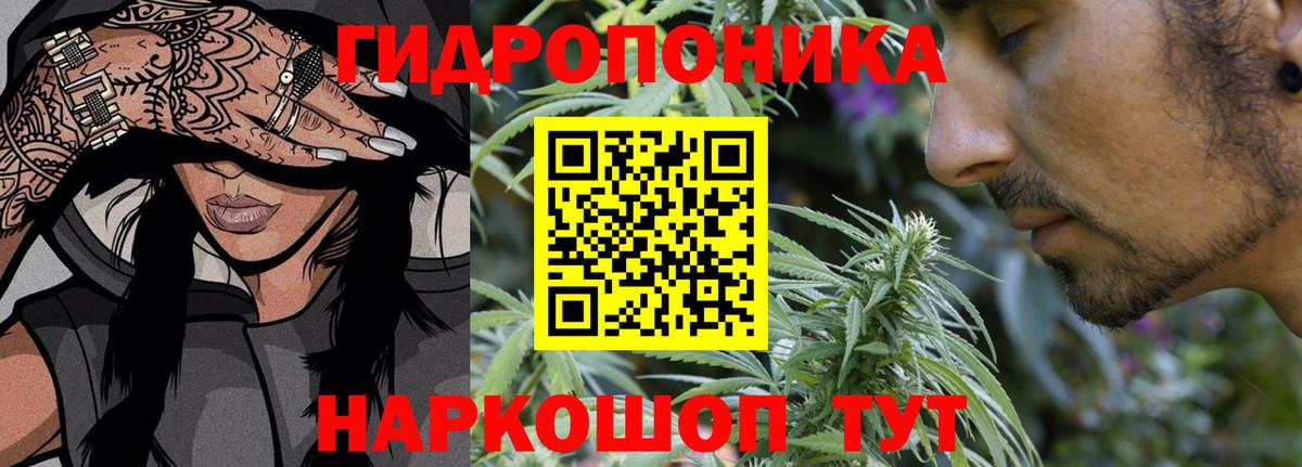 Бошки марихуана VHQ Ачхой-Мартан